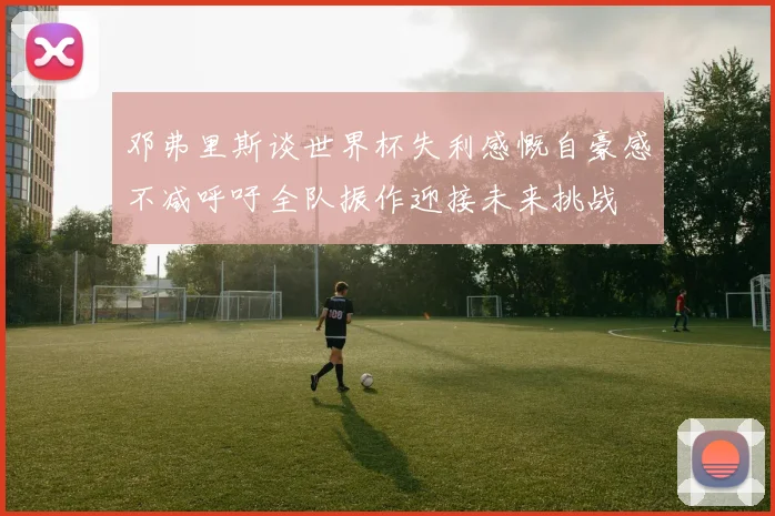 邓弗里斯谈世界杯失利感慨自豪感不减呼吁全队振作迎接未来挑战
